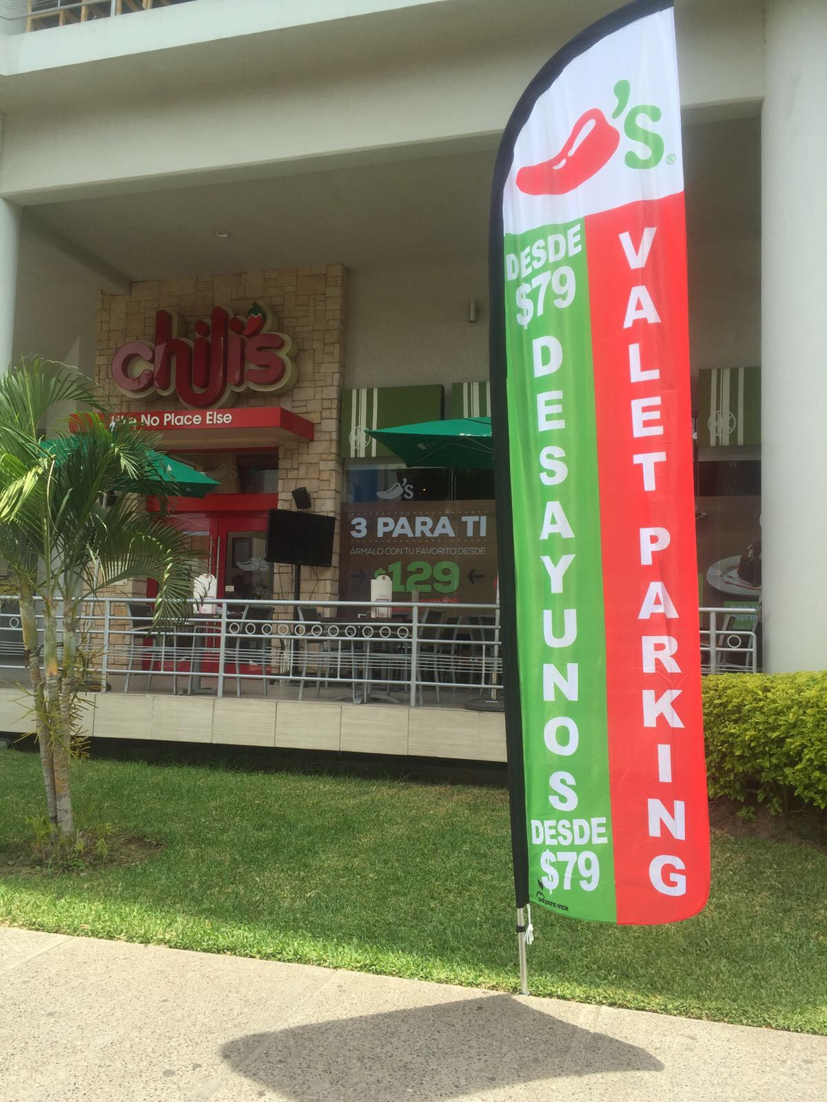 Bandera Personalizada con tu Logo