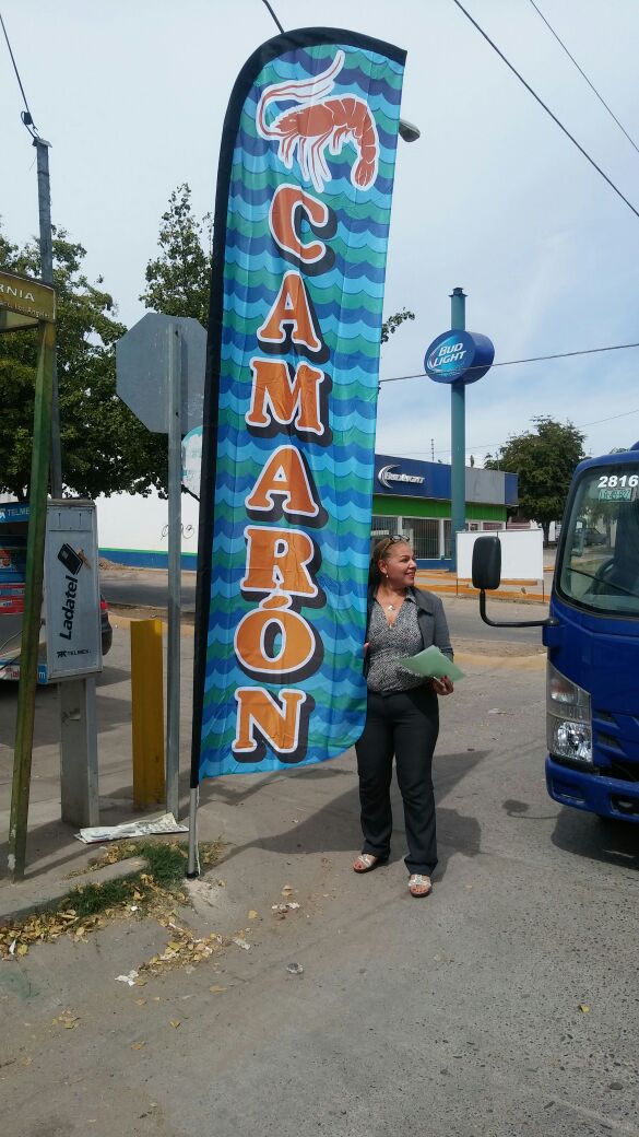 Bandera Camarón